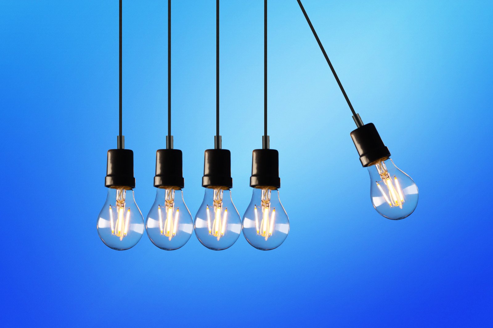A Complete Guide to Grocery and Household Products for Hamster Breeding